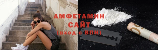 шишки Арсеньев
