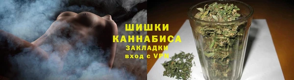 шишки Арсеньев