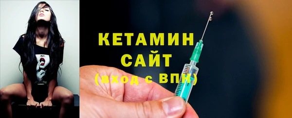 шишки Арсеньев