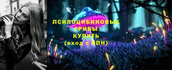 шишки Арсеньев