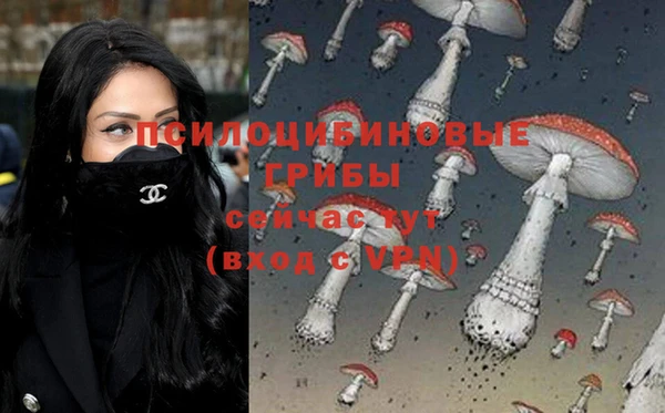 гидра Армянск