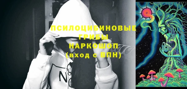 дмт Аркадак