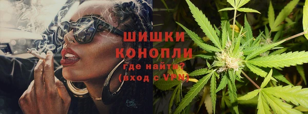 шишки Арсеньев