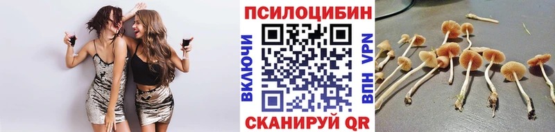 Псилоцибиновые грибы прущие грибы  kraken ONION  Тара  сколько стоит 